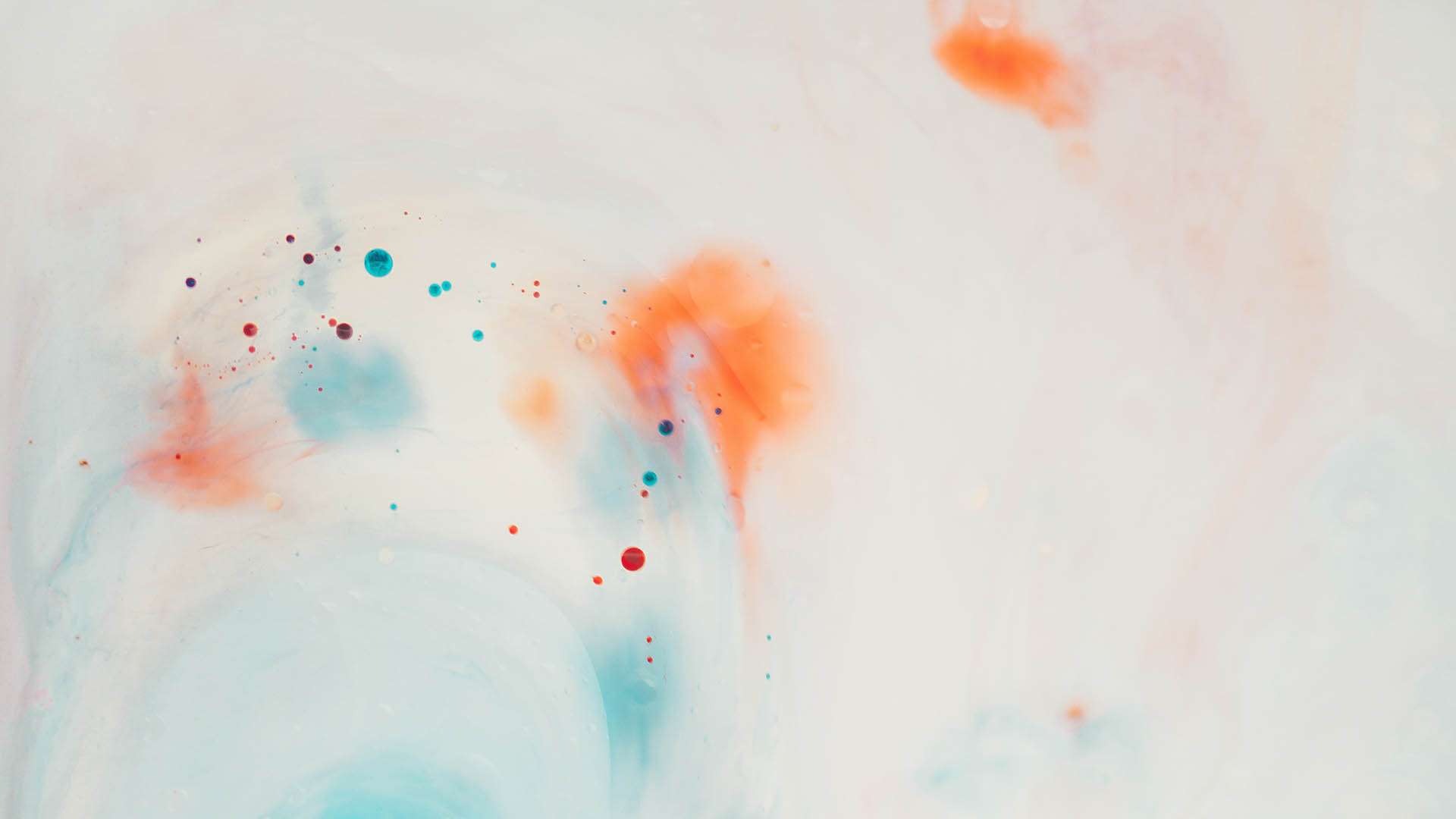 annie spratt 0ZPSX mQ3xI unsplash copy